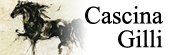 Capodanno Cascina Gilli Cremona